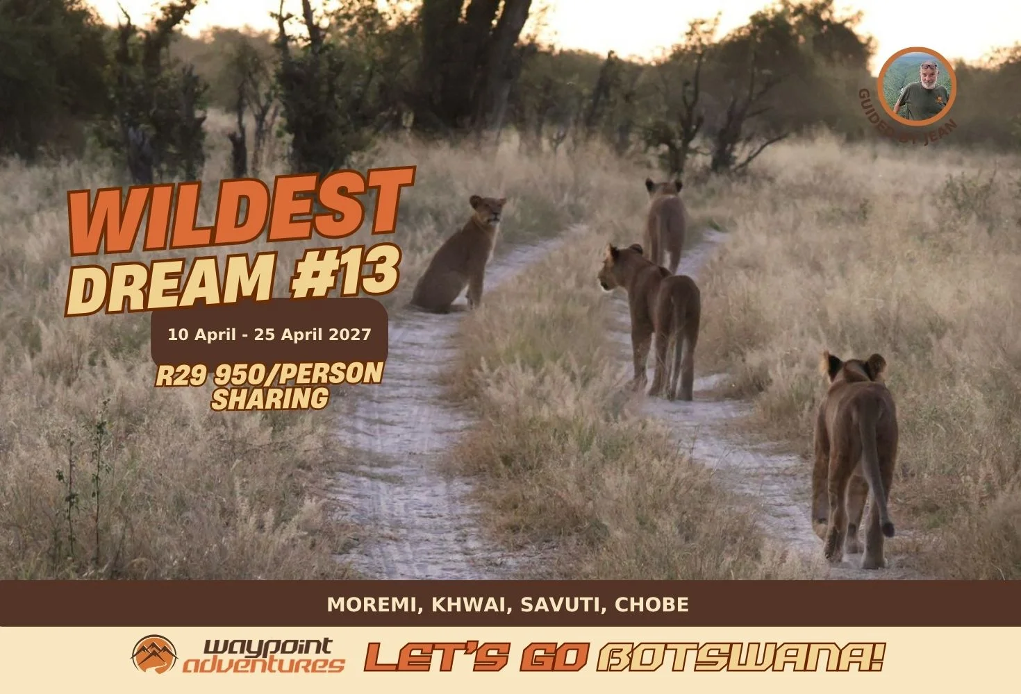 Wildest Dream #13