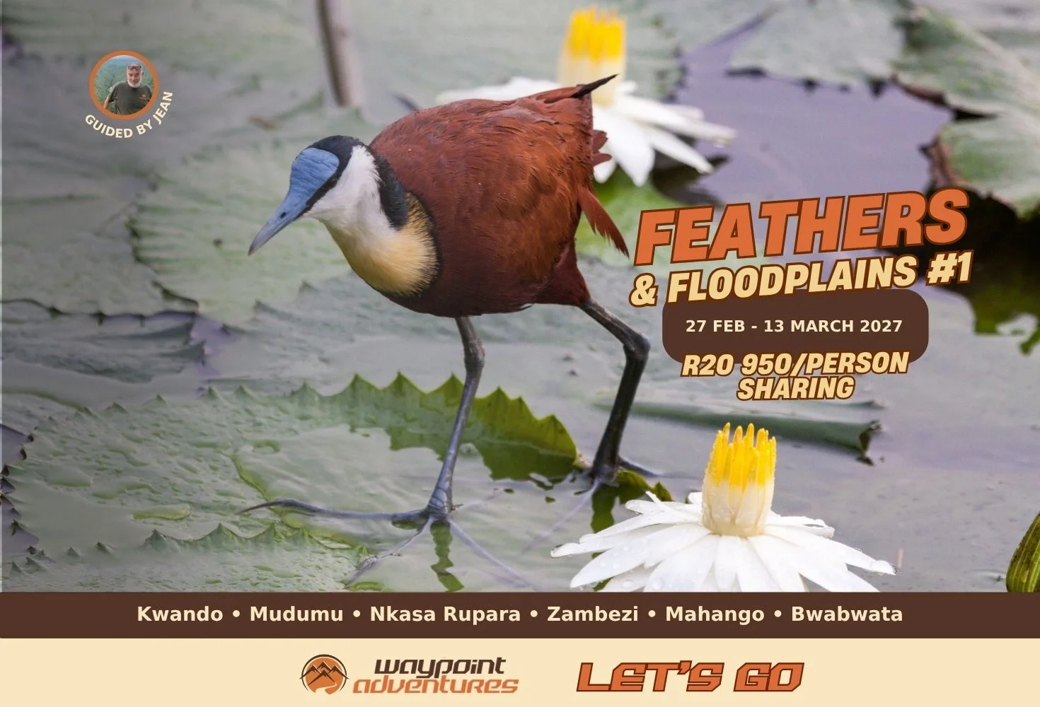 Feathers and Floodplains #1