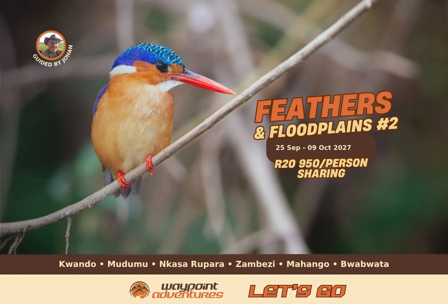 Feathers and Floodplains #2
