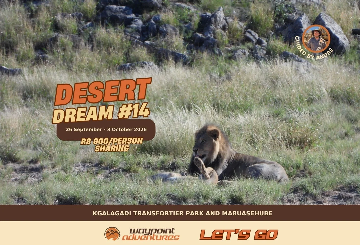 Desert Dream #14