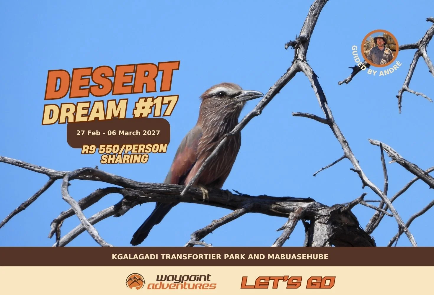 Desert Dream #17