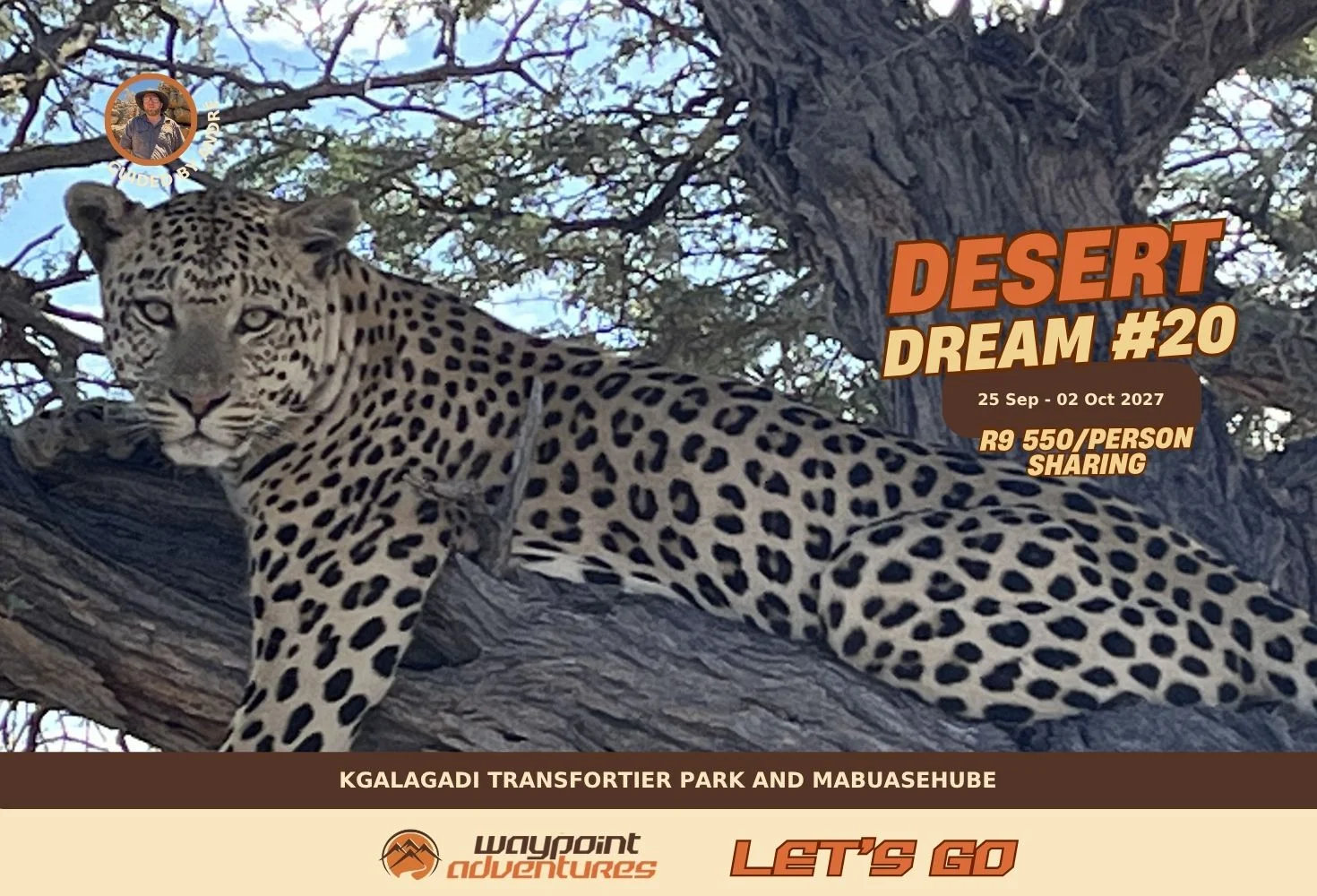 Desert Dream #20