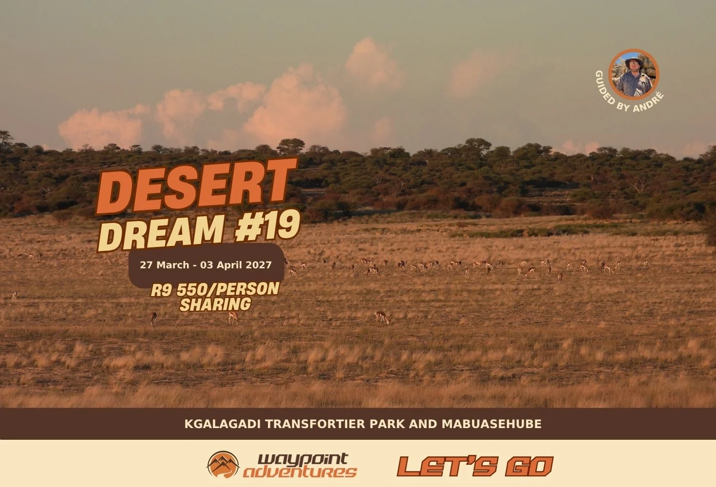 Desert Dream #19