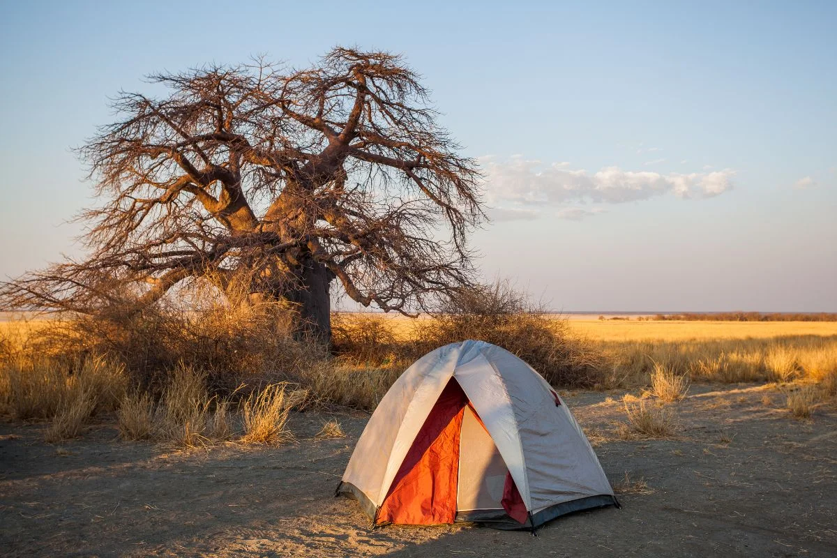 Camping